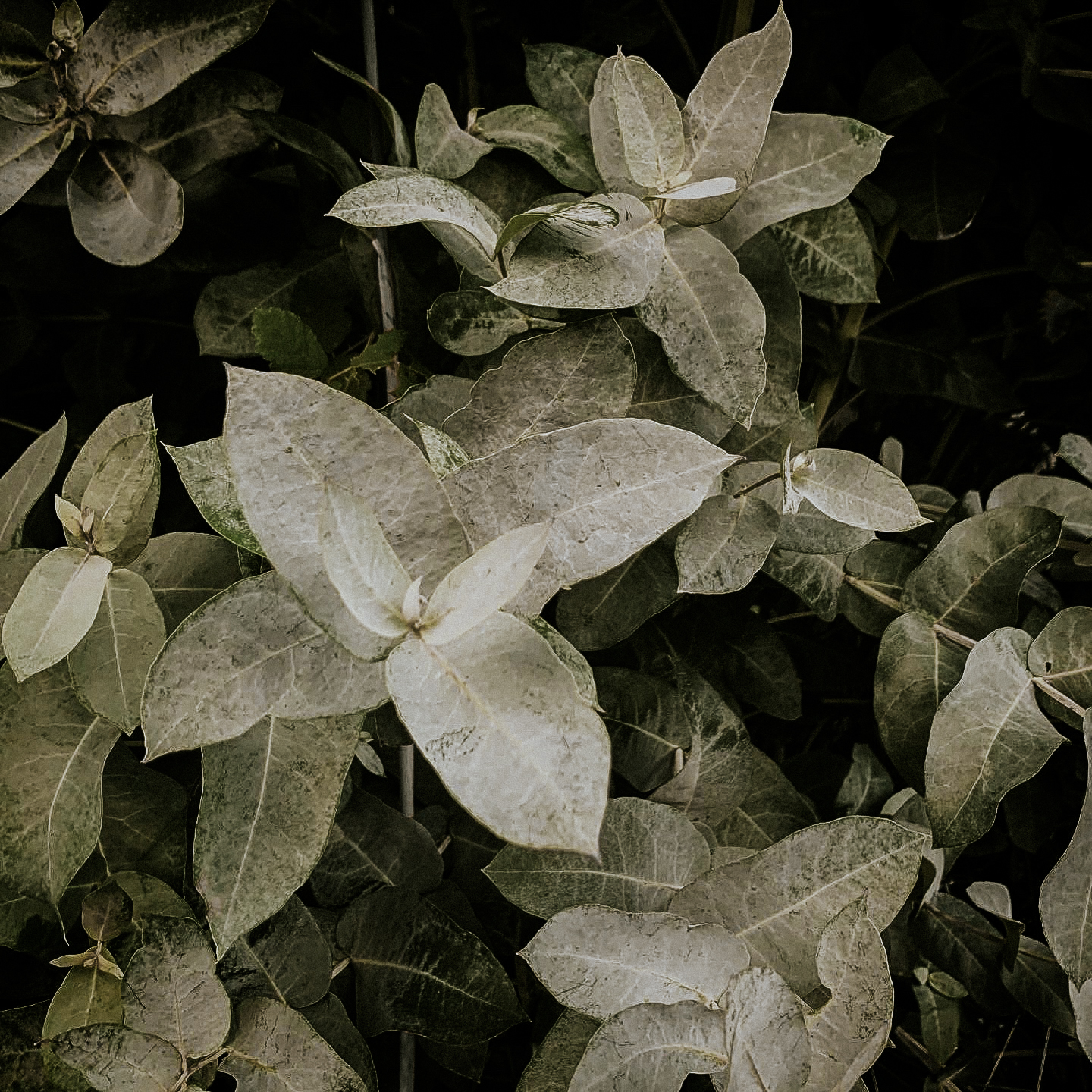 2F47C072-707A-437A-A020-9C6ABEC0EC88-2