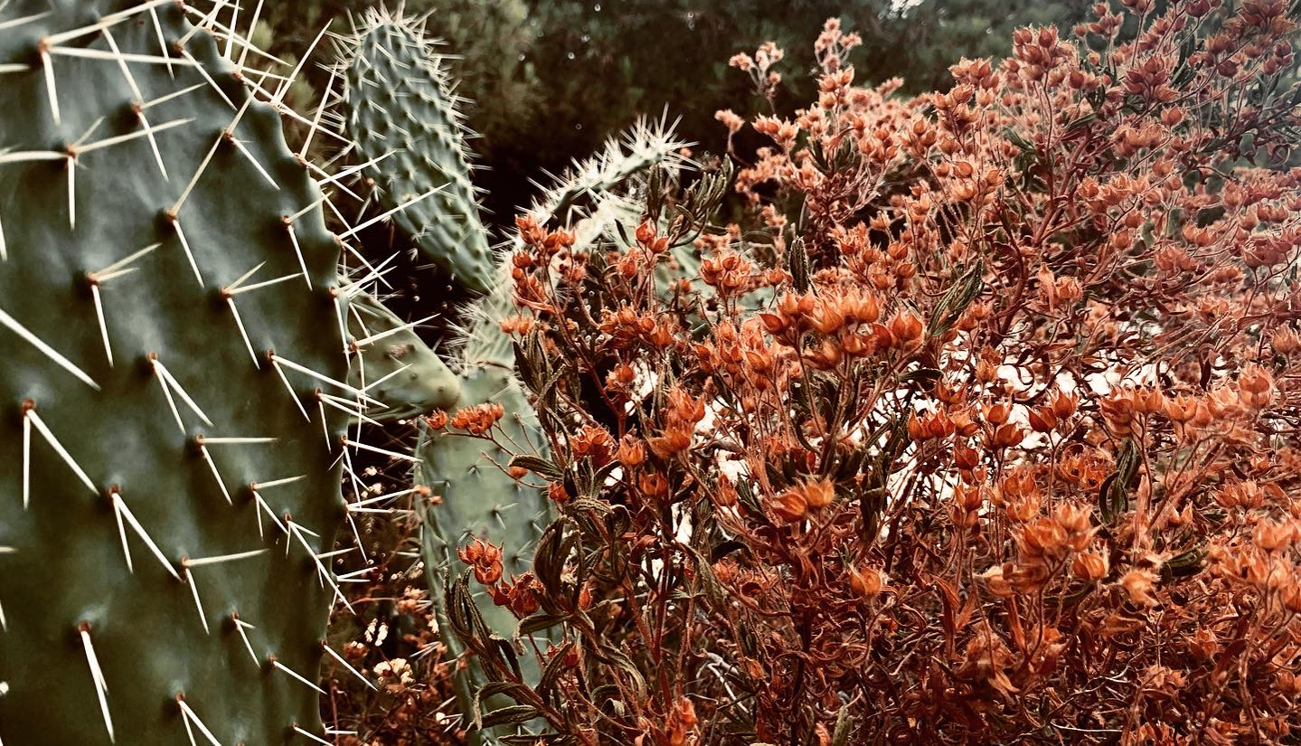 51DA89B1-7924-4104-9093-A271971C31EF-2