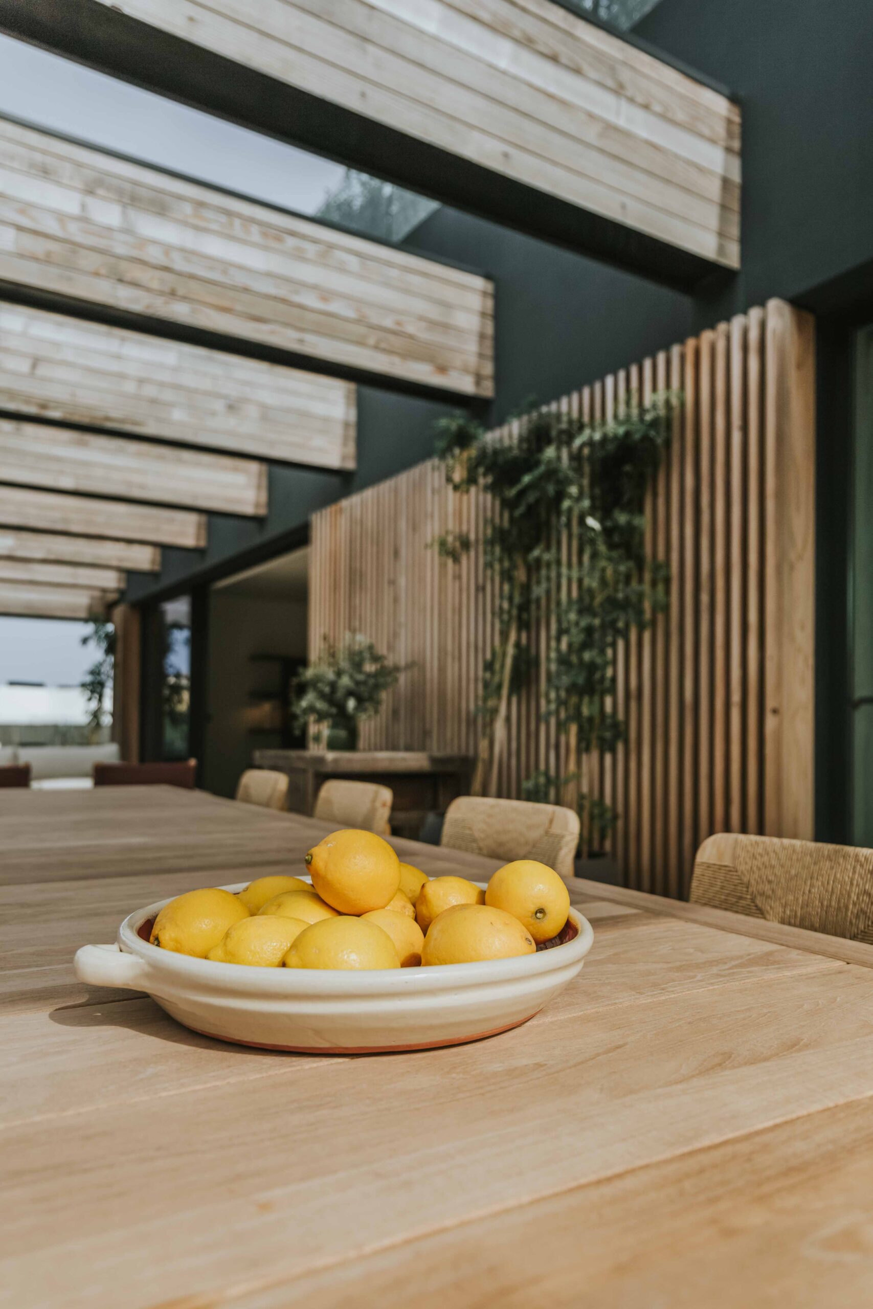 26Exterior-frontal T.W