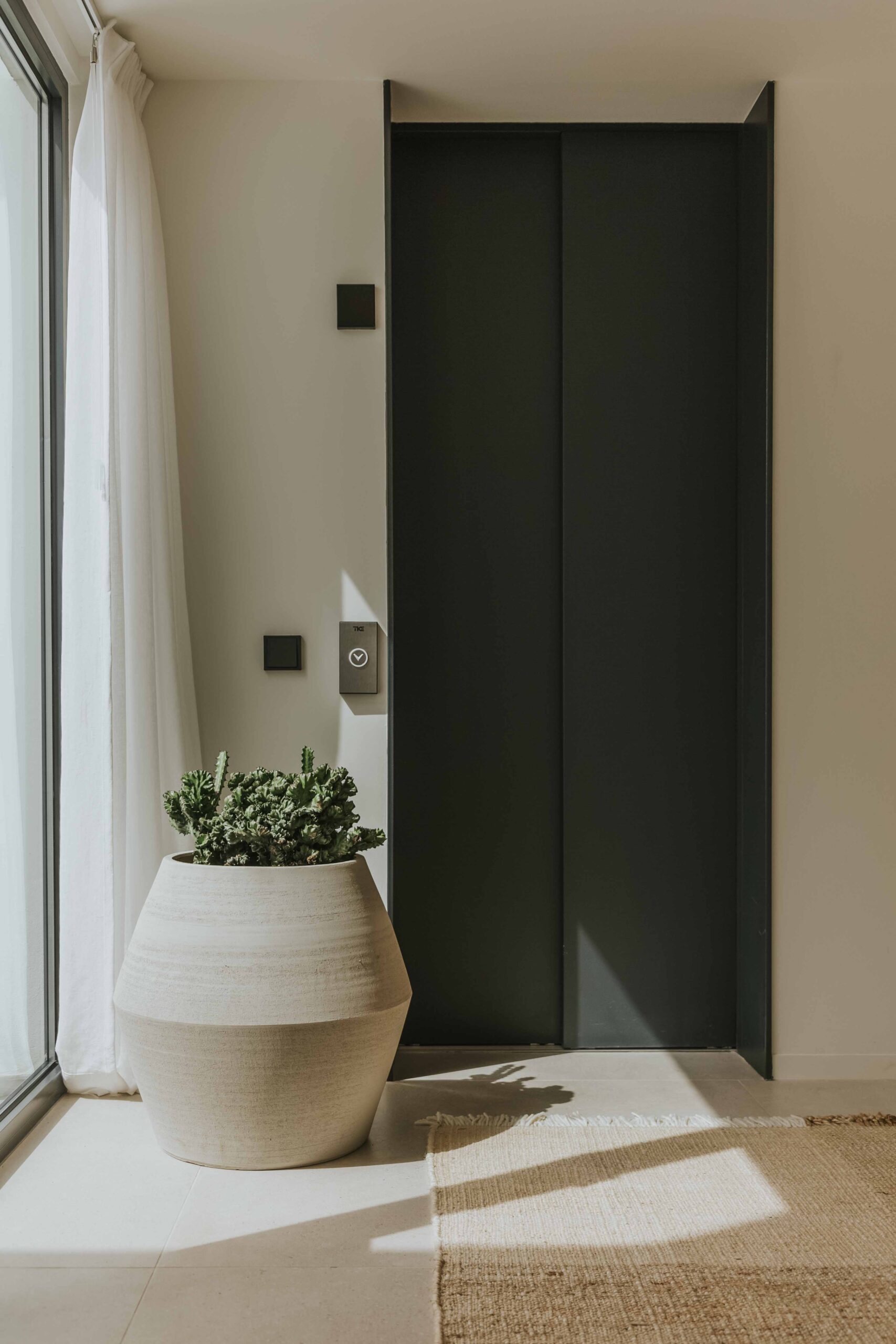 3Plantas propietaria T.W