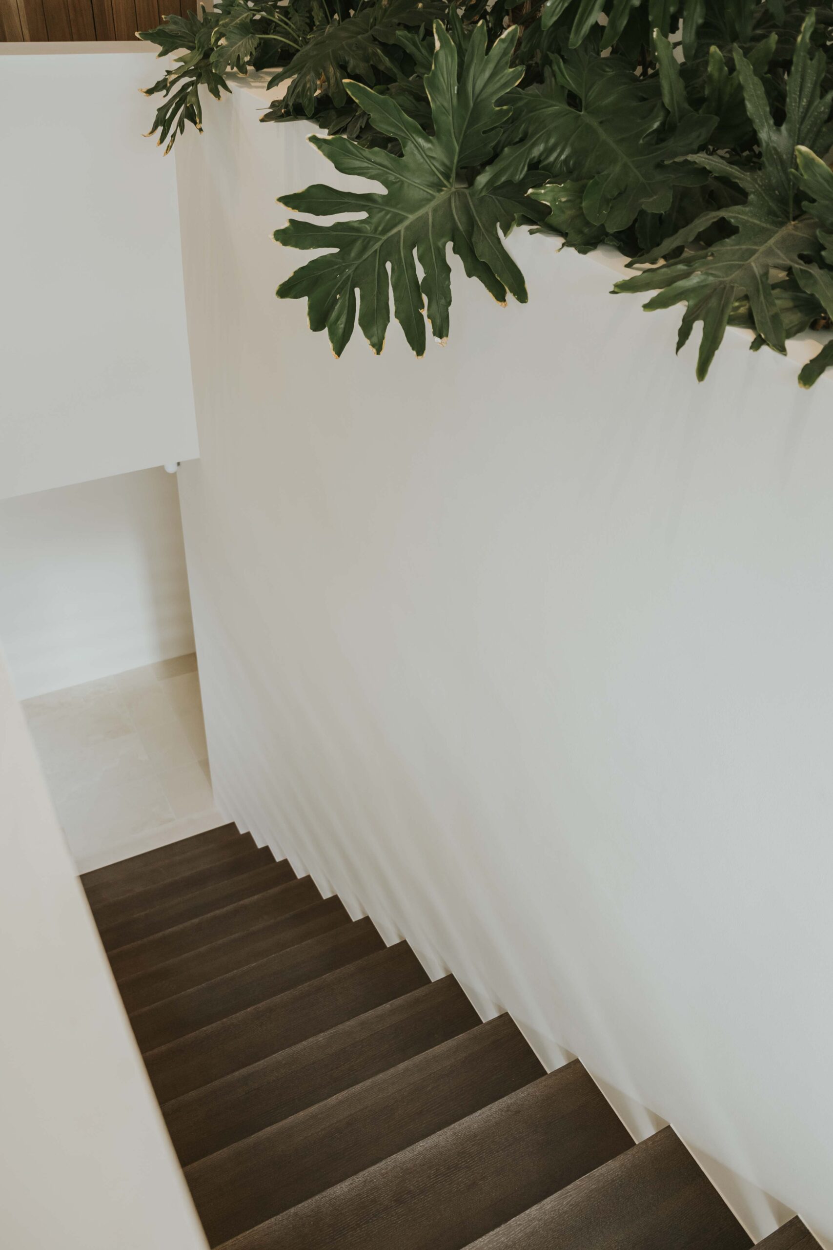 Arquitectura Montemayor