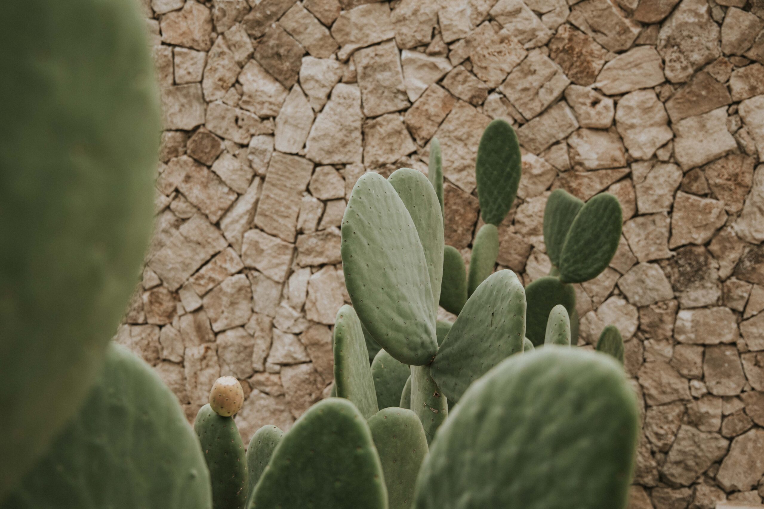 7 Entrada puerta dentro y fuera.TW