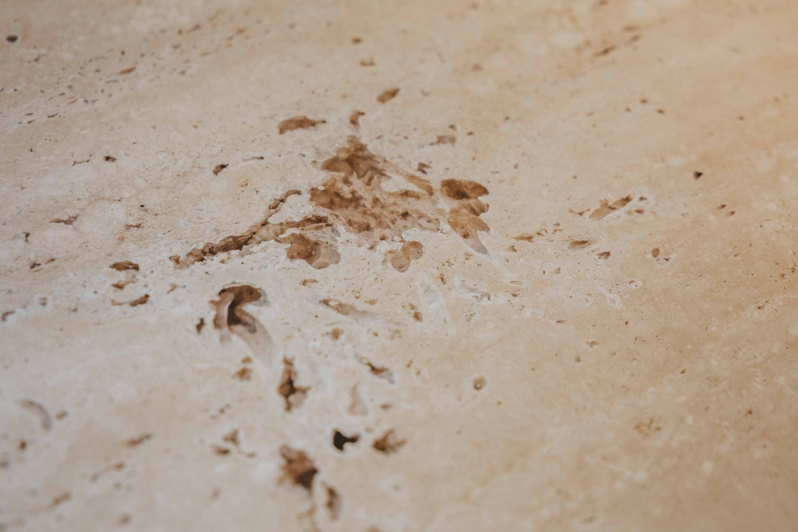 28Cocina y 2ª zona fregadero-encimera