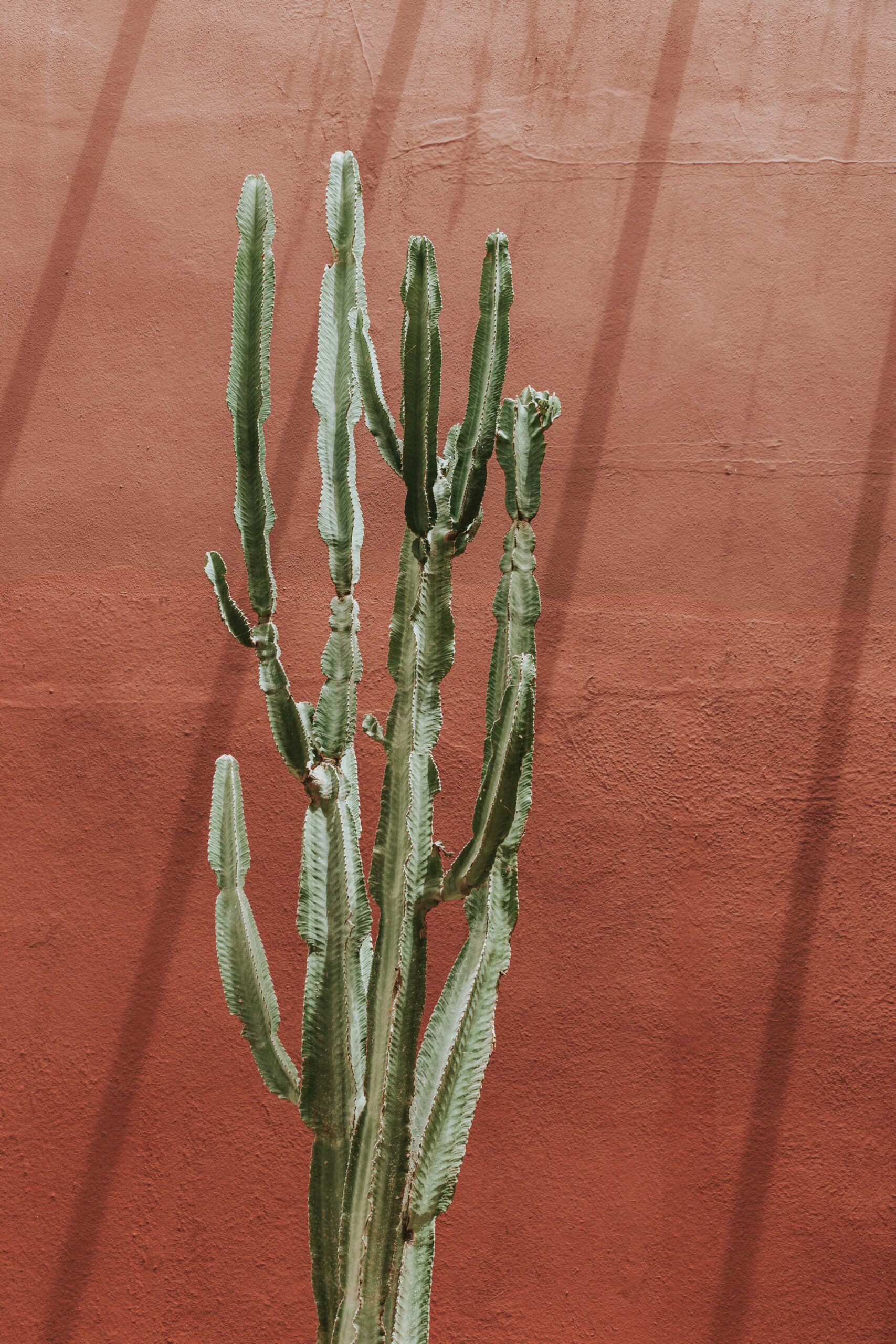 8 Dormitorio planta 1 – Captus.TW